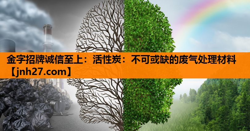 金字招牌诚信至上：活性炭：不可或缺的废气处理材料